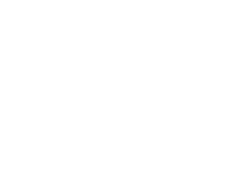 Karl Konsult International